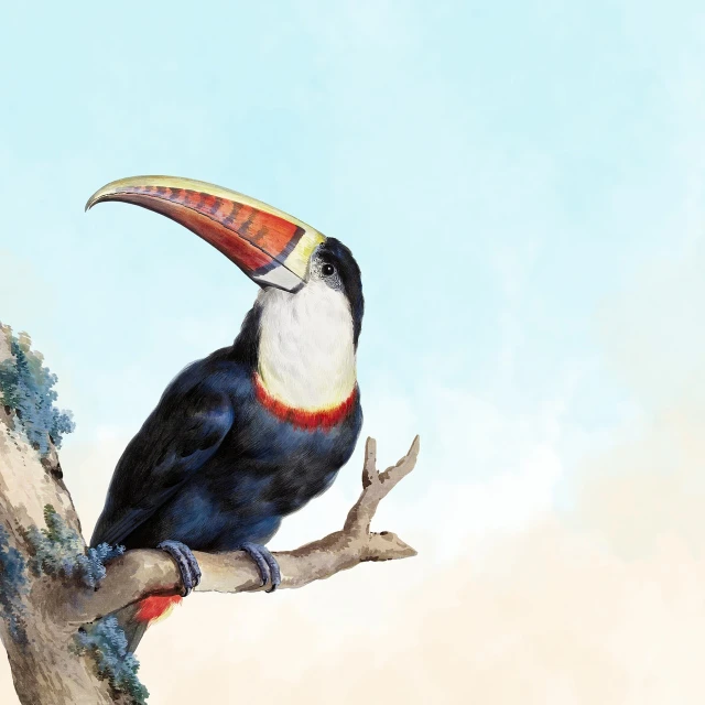 a painting of a toucan perched on a branch, an illustration of, shutterstock, fine art, high quality illustration, extra detail, concept illustration, high detail illustration