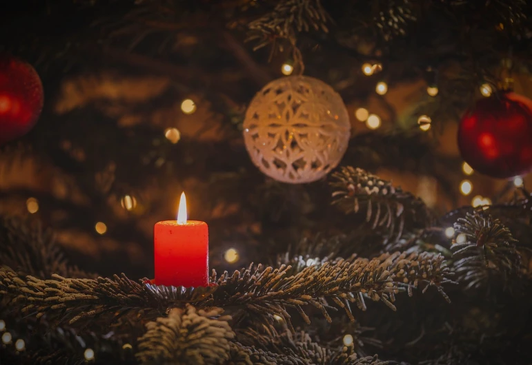 a lit candle sitting on top of a christmas tree, a picture, by Stefan Gierowski, pexels, fine art, instagram photo, complex background, wallpaper - 1 0 2 4, small