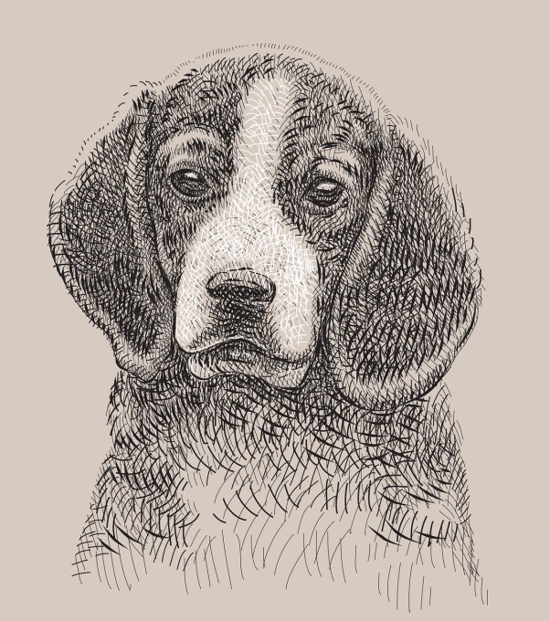 a black and white drawing of a dog, a stipple, shutterstock, engraved vector, dark sepia toned shading, intricate details illustration