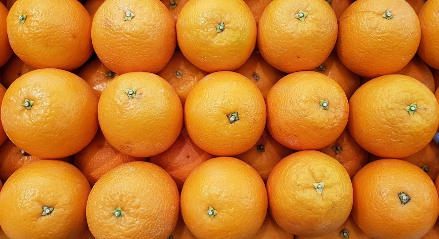 a pile of oranges sitting on top of each other, a picture, pexels, mingei, highly detailed image, no text!, n - 9, regular sized