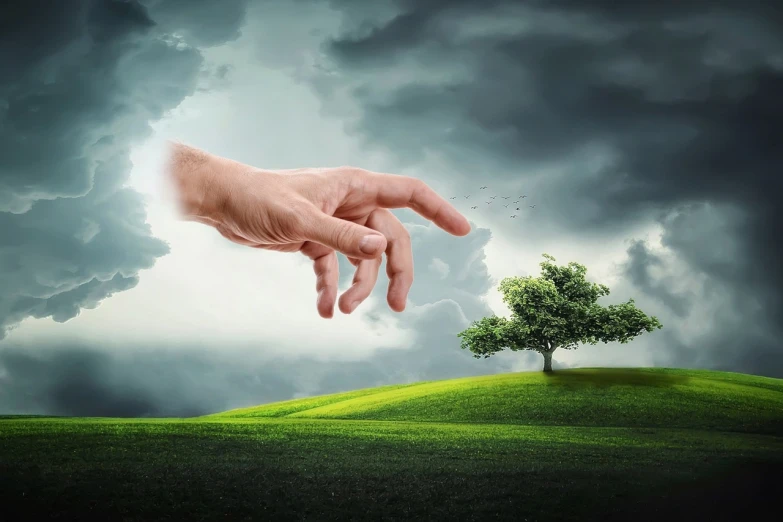 a hand reaching for a tree in a field, surrealism, stormy background, manicured garden of eden, stockphoto, nature photo