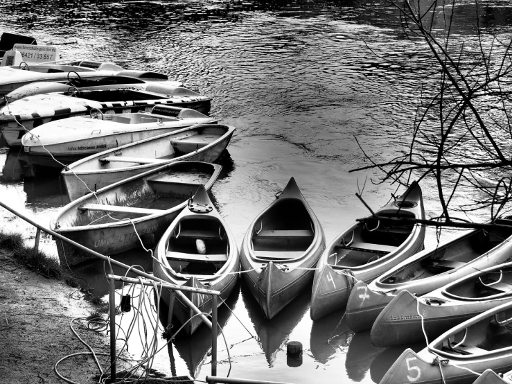 a bunch of boats that are sitting in the water, a photo, by Hans Schwarz, black! and white colors, 🦩🪐🐞👩🏻🦳, river, canoe