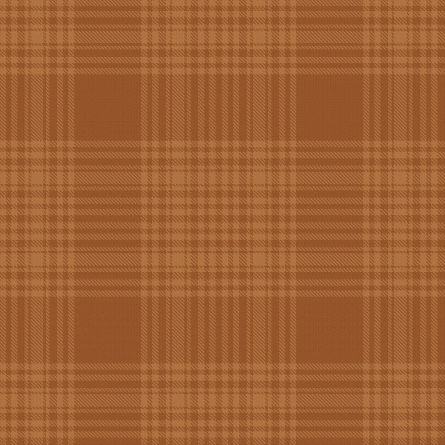 a brown and tan plaid fabric, inspired by John Brown Abercromby, digital art, diffuse outline, with gradients, sienna, president