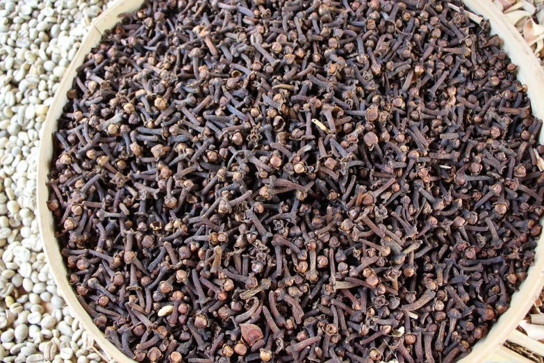 a bowl filled with cloves on top of gravel, encarpus, cuba, closeup photo, many thick dark knotted branches