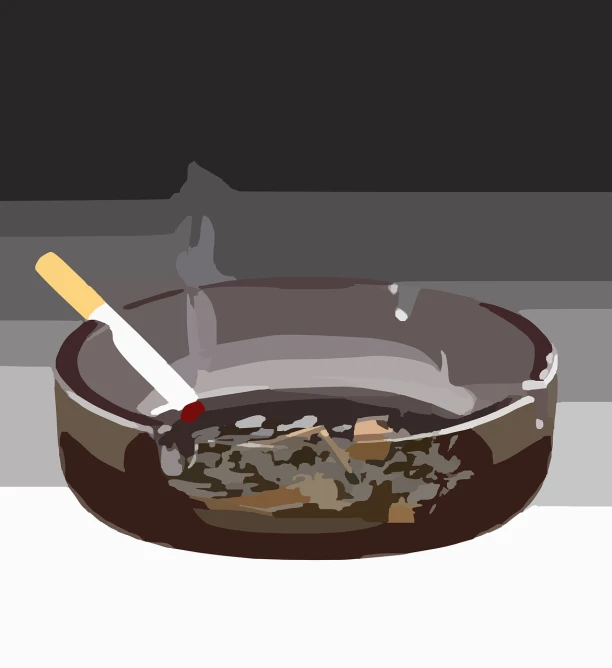 a bowl of food with a cigarette sticking out of it, an illustration of, inspired by Masamitsu Ōta, conceptual art, painterly illustration, background ( dark _ smokiness ), very accurate photo, flat color