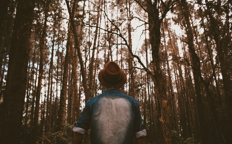 a person standing in the middle of a forest, naturalism, faded fedora, hipster dad, back of head, instagram picture