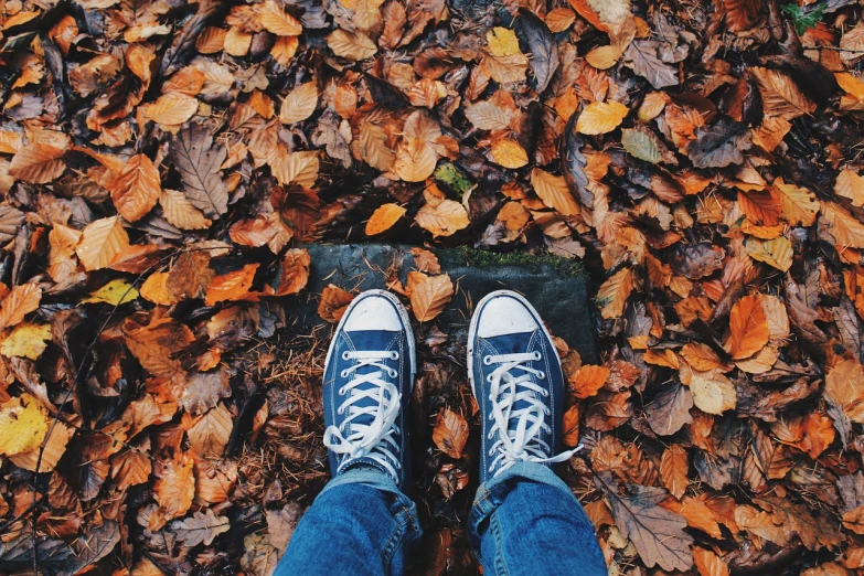 a person standing on top of a pile of leaves, pexels, blue shoes, 🕹️ 😎 🚬, realistic footage, seasons!! : 🌸 ☀ 🍂 ❄