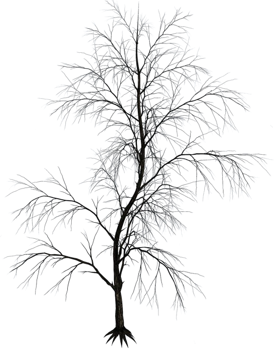 a black and white photo of a snow covered tree, a raytraced image, inspired by Arthur Burdett Frost, polycount, conceptual art, night sky; 8k, - h 1 0 2 4, hyperdetailed twigs and plants, australian winter night