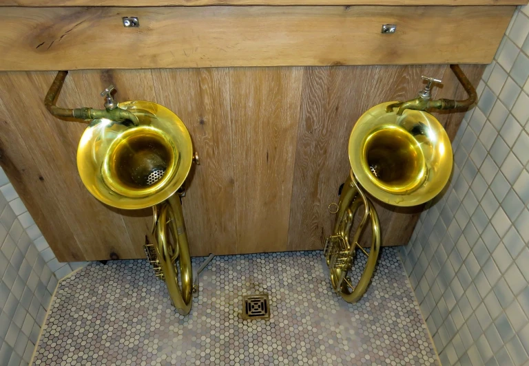 a couple of brass trumpets sitting next to each other, art nouveau, wooden toilets, 2 4 mm iso 8 0 0, homemade, waterfals