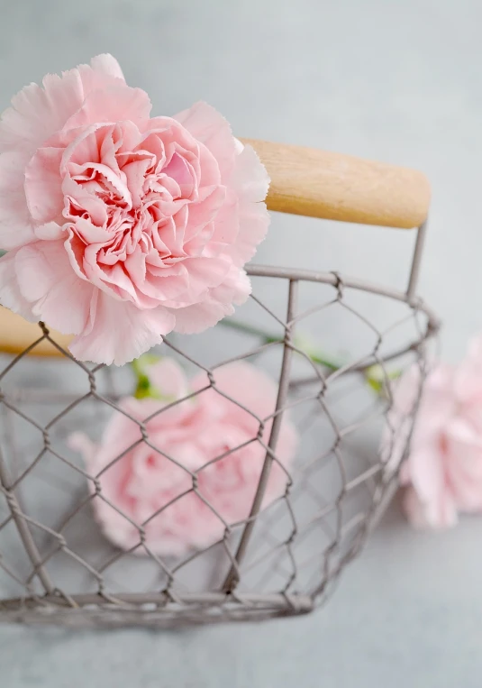 pink carnations in a wire basket with a wooden handle, product introduction photo, close - up photo, detaling, pastel color