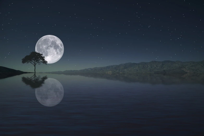 a lone tree sitting in the middle of a lake under a full moon, a matte painting, moonwalker photo