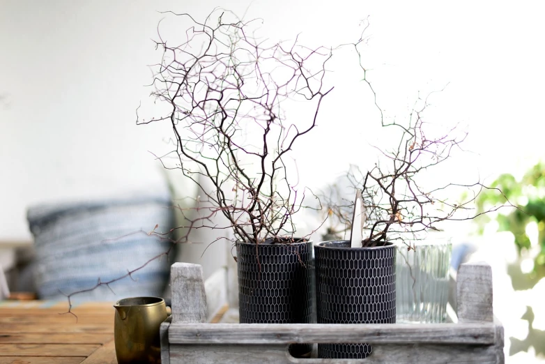 a couple of vases sitting on top of a wooden table, a picture, by Margit Anna, purism, branches wrapped, pattern, small details, gardening