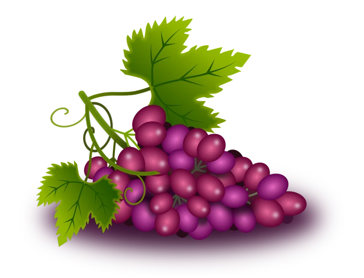 a plate with a bunch of grapes on it, a digital rendering, by Ayako Rokkaku, trending on pixabay, art nouveau, purple and red colors, with a black background, from side, fruit celebrity