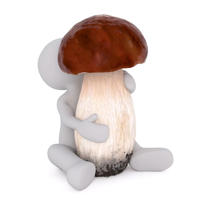 a person sitting on the ground next to a mushroom, an ambient occlusion render, conceptual art, isolated white background, a character based on a haggis, flash photo, holding an epée