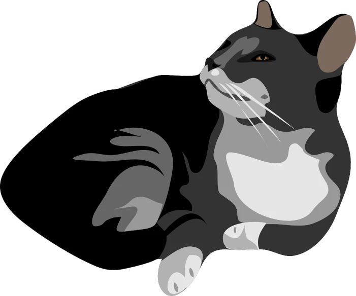 a black and white cat is laying down, vector art, pixabay, minimalism, she has a jiggly fat round belly, black and grey, calico, right side composition