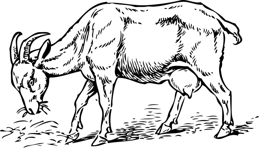 a black and white photo of a cat in the dark, a digital painting, by Carlos Catasse, ascii art, amoled wallpaper, snorlax, without text, anonymous as a car