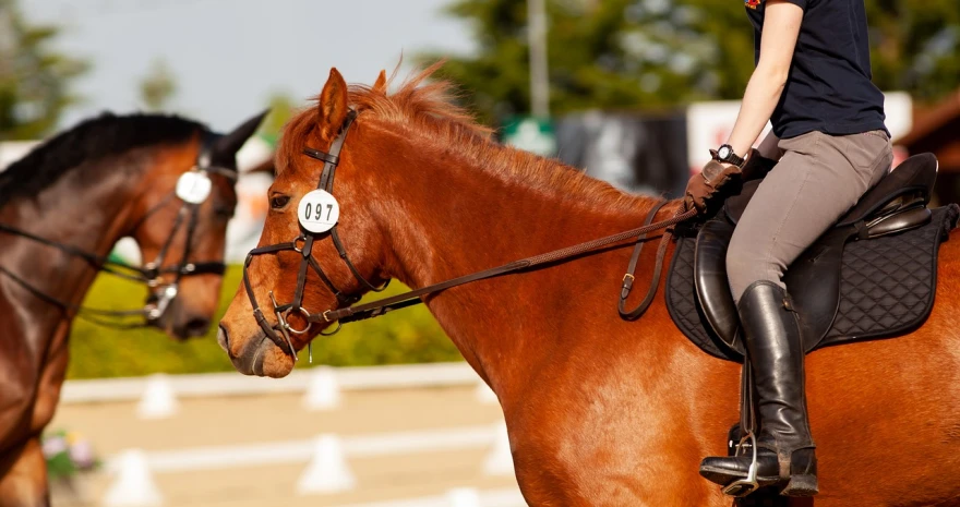 a woman riding on the back of a brown horse, a portrait, by Lale Westvind, pixabay, in the middle of an arena, wearing a monocle, on a sunny day, competition winning