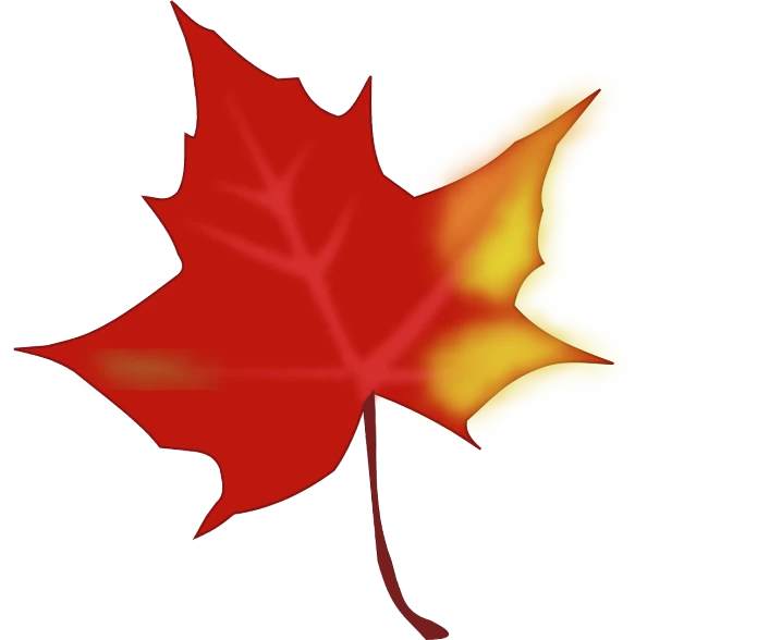 a close up of a leaf on a white background, a digital rendering, by Rhea Carmi, red and yellow color scheme, drawn in microsoft paint, maple syrup, clipart