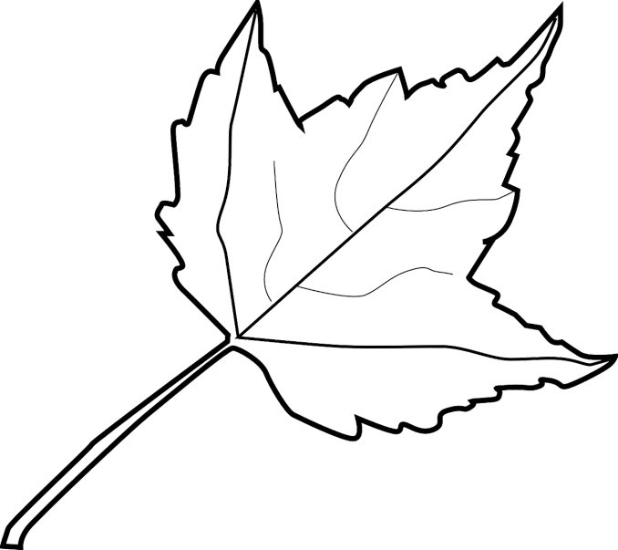 a black and white drawing of a leaf, lineart, pixabay, hurufiyya, color page, maple syrup highlights, computer generated, vector images