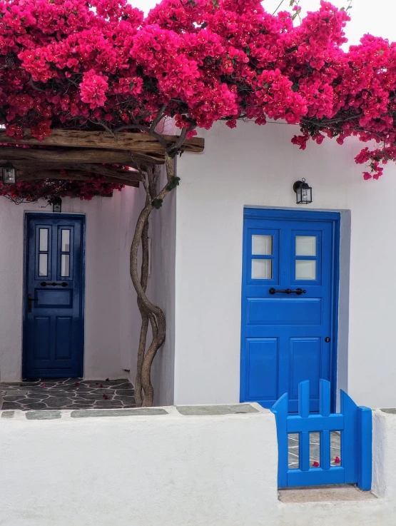 a blue door sitting on the side of a white building, by Alexis Grimou, pexels contest winner, aestheticism, bougainvillea, greek fantasy panorama, cottages, full of colour w 1024