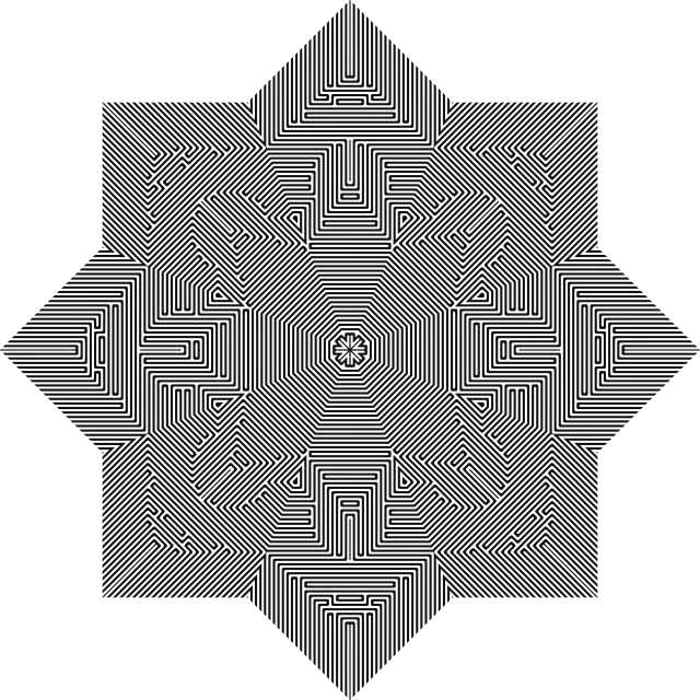 a black and white geometric design, a raytraced image, inspired by Andrei Kolkoutine, reddit, generative art, black background with stars, dmt entity, centered in panel, png