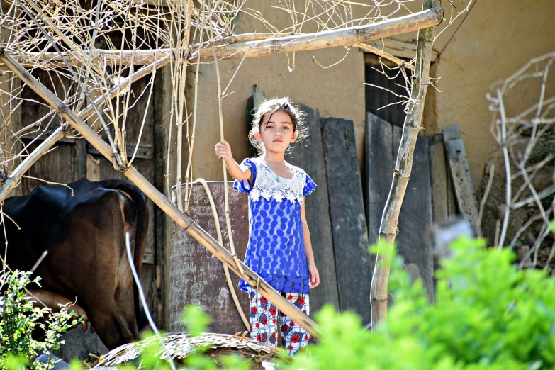 a little girl standing next to a cow, by Riza Abbasi, flickr, in a tree house, village, in the sun, very beautiful girl