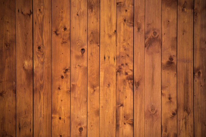 a close up of a wood paneled wall, by Richard Carline, shutterstock, soft surface texture, photoshoot, arbor, doors