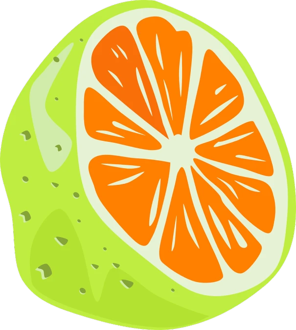a slice of orange on a black background, vector art, inspired by Masamitsu Ōta, pop art, lime green, slice of life anime, 🐿🍸🍋, colored fruit stand