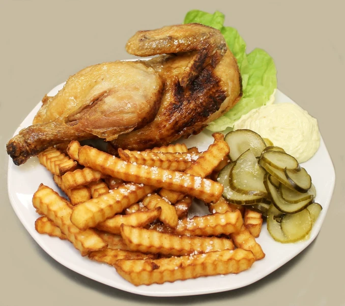 a white plate topped with french fries and a chicken, photorealism, catalog photo, high res photo, detailed zoom photo, smokey