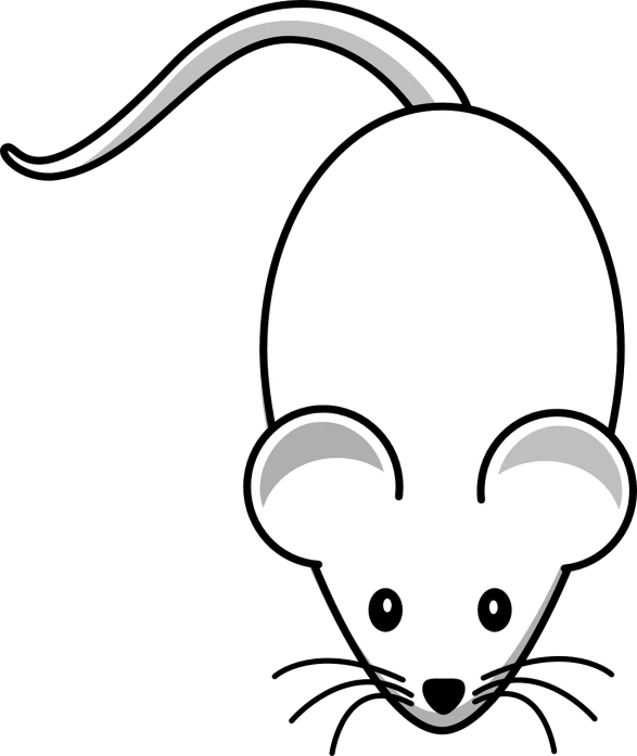 a white mouse on a black background, a cartoon, by Mirko Rački, pixabay, black and white hair, operation, 27, chinese