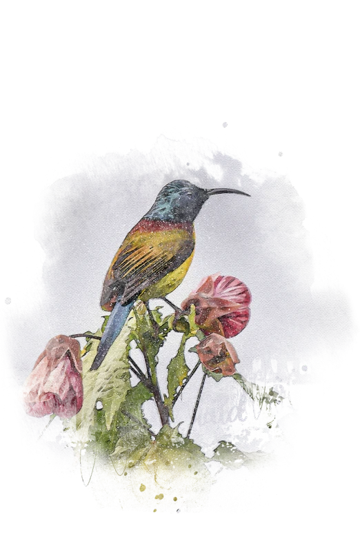 a painting of a bird sitting on top of a flower, inspired by Fernand Verhaegen, art photography, texturized, rosen zulu, istock, new zeeland