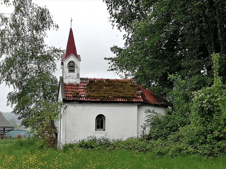 a small white church sitting on top of a lush green field, a picture, by Christen Købke, overgrown with exotic fungus, roof with vegetation, red roofs, deteriorated