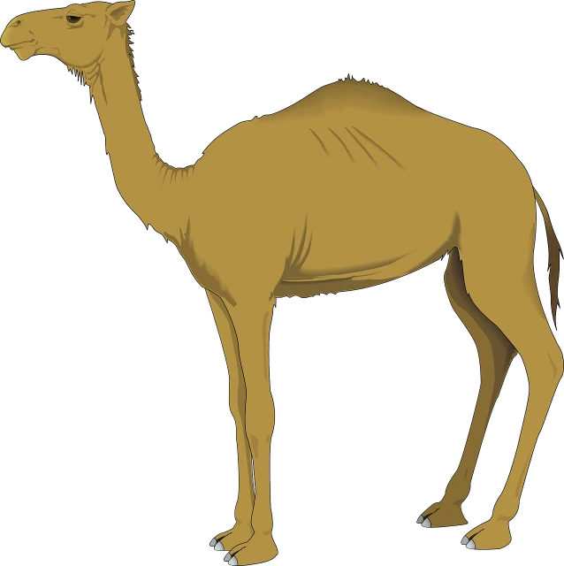 a camel standing in front of a black background, an illustration of, hurufiyya, smooth shank, side view centered, untextured, two legged with clawed feet