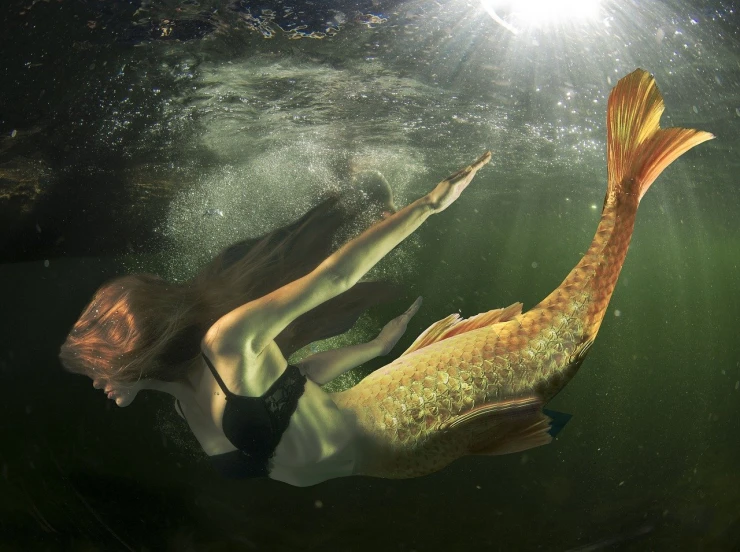 a woman is swimming in the water with a fish, conceptual art, golden light, photorealistic photography, mermaids, photograph credit: ap