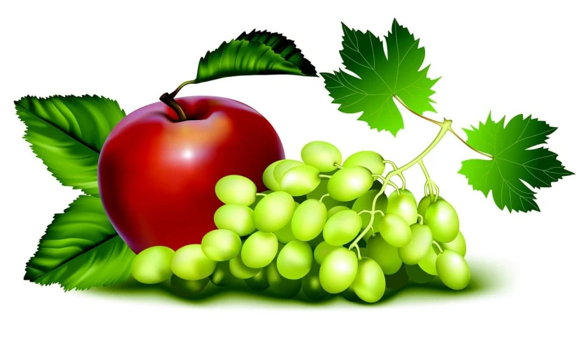 a red apple sitting next to a bunch of green grapes, a digital rendering, trending on pixabay, vector images, elaborate composition, right side composition, fabry glenn