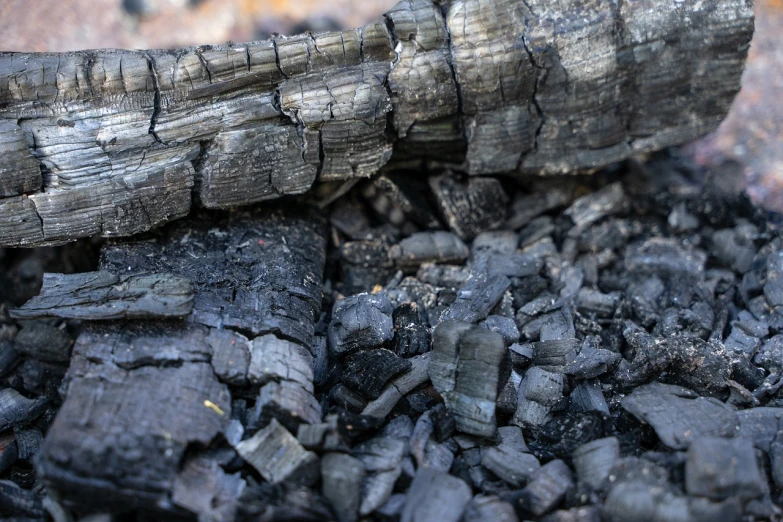 a piece of wood sitting on top of a pile of coal, by Jörg Immendorff, pexels, auto-destructive art, black lung detail, burned, bare bark, shade