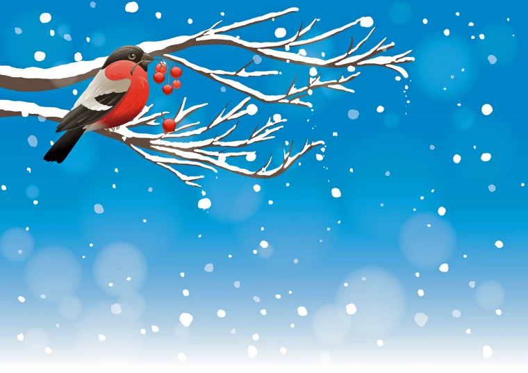 a bird sitting on a tree branch in the snow, an illustration of, by Maki Haku, shutterstock, realism, red nose, high contrast illustration, card, full color illustration