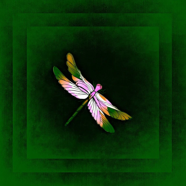 a close up of a dragonfly on a green background, digital art, inspired by Victor Noble Rainbird, digital art, with a square, on black background, green and pink, frame