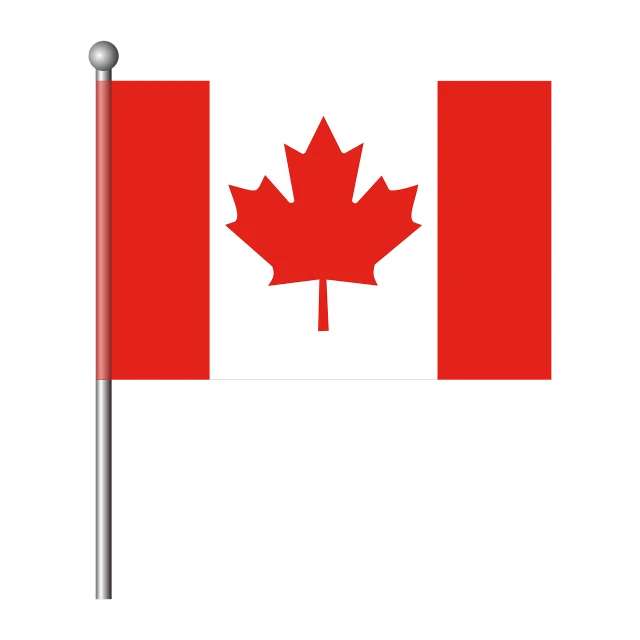 a canadian flag on a pole on a black background, an illustration of, hurufiyya, an illustration, handheld, illustration, accurate depiction