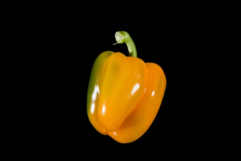 a yellow bell pepper on a black background, renaissance, 2 4 mm iso 8 0 0 color, bright green dark orange, red and orange colored, inverse color