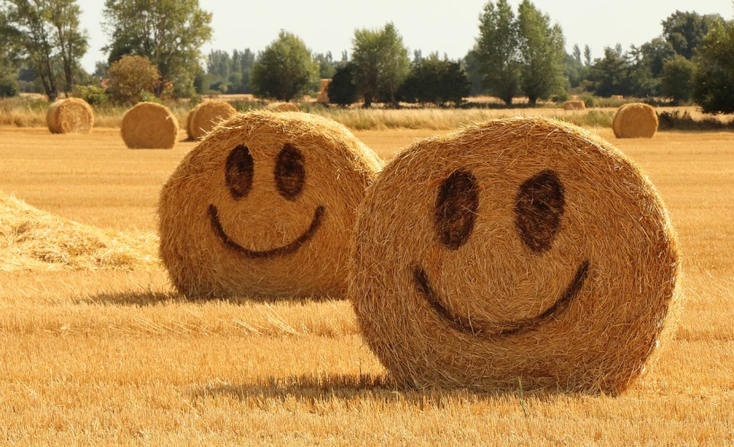 two hay bales with a smiley face drawn on them, a picture, pixabay, land art, stubble on his face, high quality product image”, avatar image, happy people