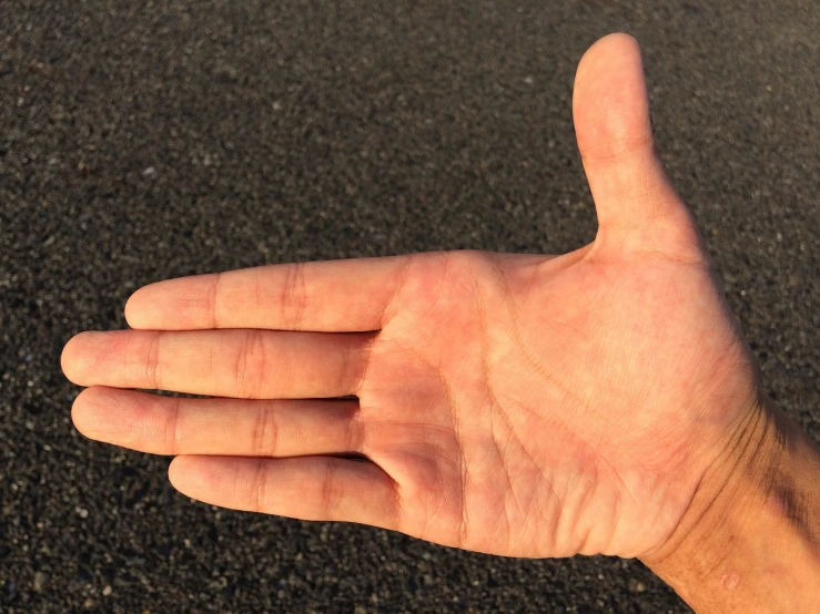 a close up of a person's hand holding something, by Jan Rustem, very asphalt, in good physical shape, 45 degrees from the side, palm