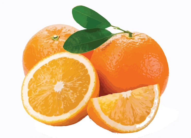 a group of oranges sitting next to each other, an illustration of, photorealism, illustrator vector graphics, illustration]