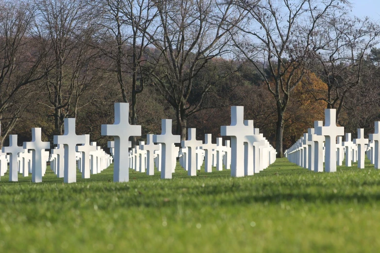 a field of white crosses with trees in the background, moderately detailed, pentagon, parce sepulto, holiday season