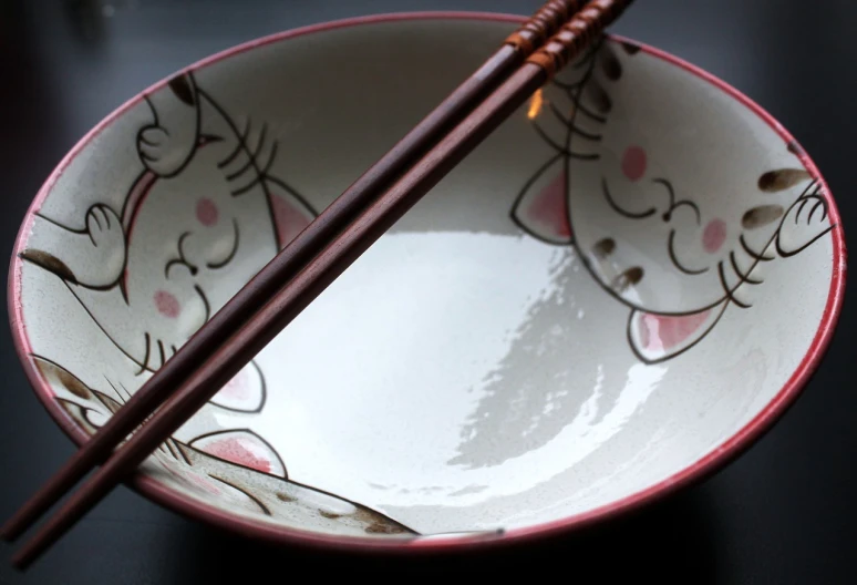 a close up of a bowl with chopsticks in it, a picture, inspired by Miyagawa Isshō, flickr, kawaii cat, istockphoto, haruno sakura, close up high detailed