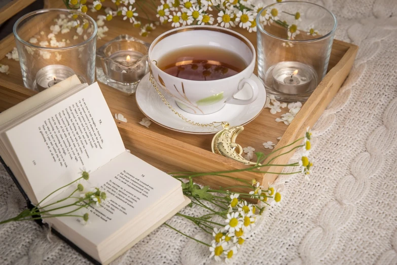a cup of tea and a book on a tray, inspired by Cassandra Austen, chamomile, cottagecore!! fitness body, intricate story, in the spotlight