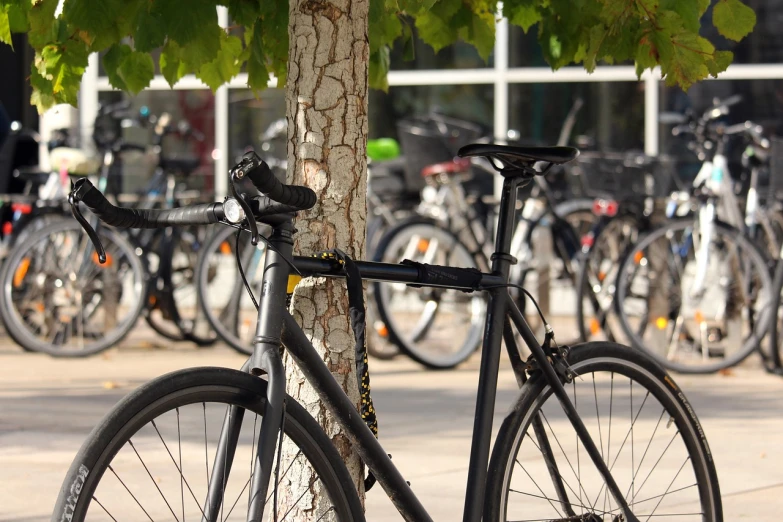 a close up of a bike parked next to a tree, by Ejnar Nielsen, college, complex background, full res, rack