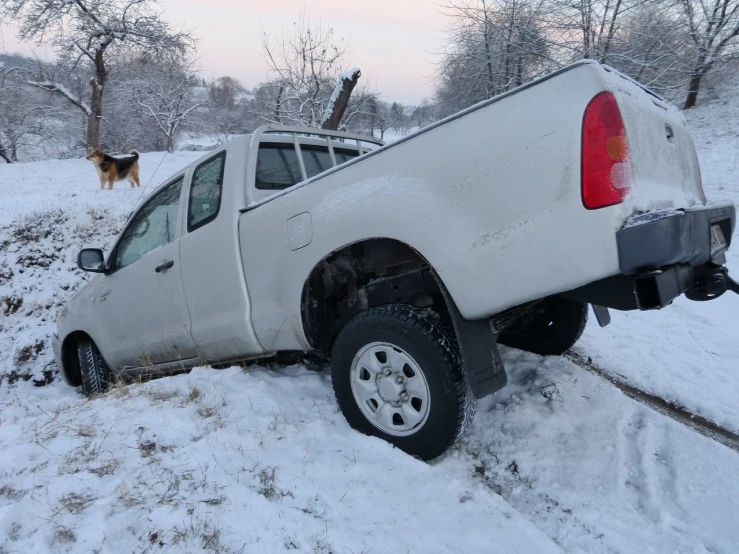 a truck that is sitting in the snow, auto-destructive art, dog jumps over hill, crashed in the ground, afp, sport