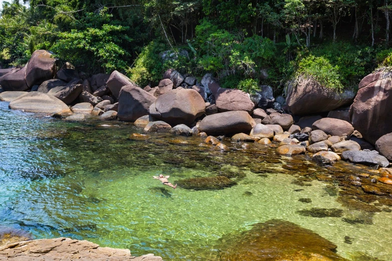 a person swimming in a body of water, by Felipe Seade, shutterstock, mossy rocks, in sao paulo, hot day, beach and tropical vegetation