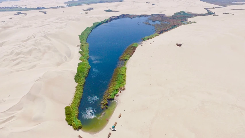 a large body of water sitting in the middle of a desert, a picture, by Hugo van der Goes, ancient forest like fanal forest, hoang long ly, 🚿🗝📝, viral photo